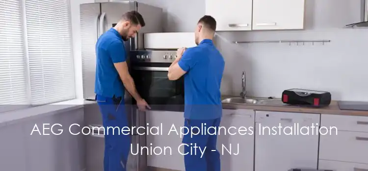 AEG Commercial Appliances Installation Union City - NJ