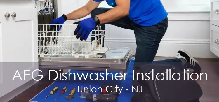 AEG Dishwasher Installation Union City - NJ