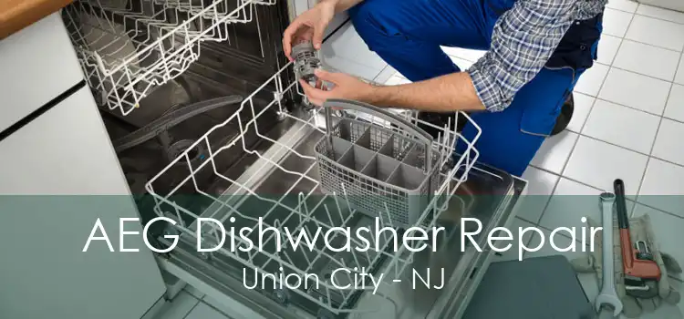 AEG Dishwasher Repair Union City - NJ