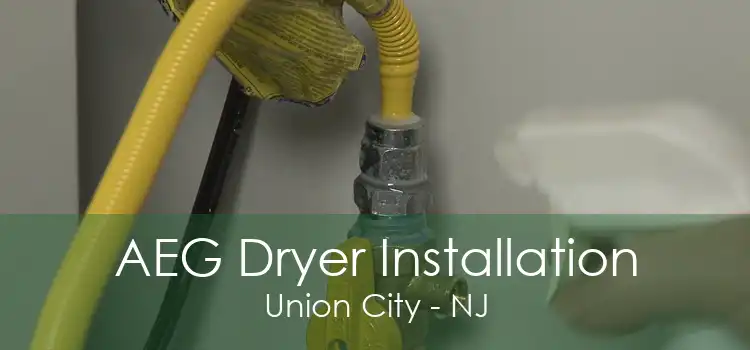 AEG Dryer Installation Union City - NJ