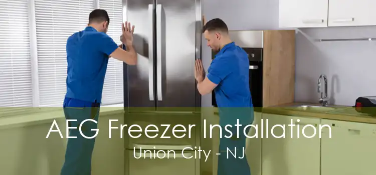 AEG Freezer Installation Union City - NJ