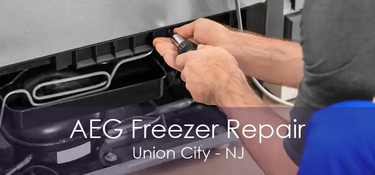 AEG Freezer Repair Union City - NJ