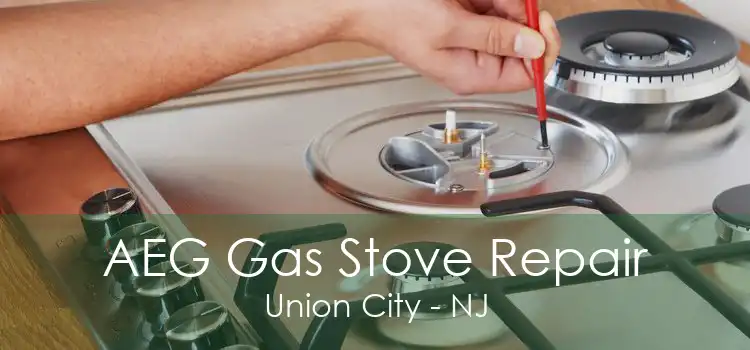 AEG Gas Stove Repair Union City - NJ