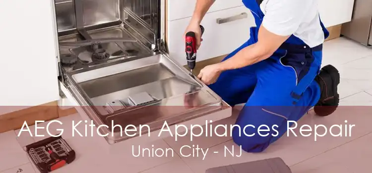 AEG Kitchen Appliances Repair Union City - NJ