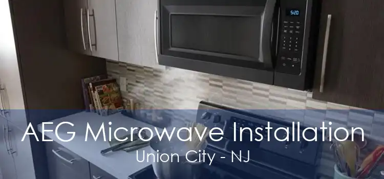 AEG Microwave Installation Union City - NJ