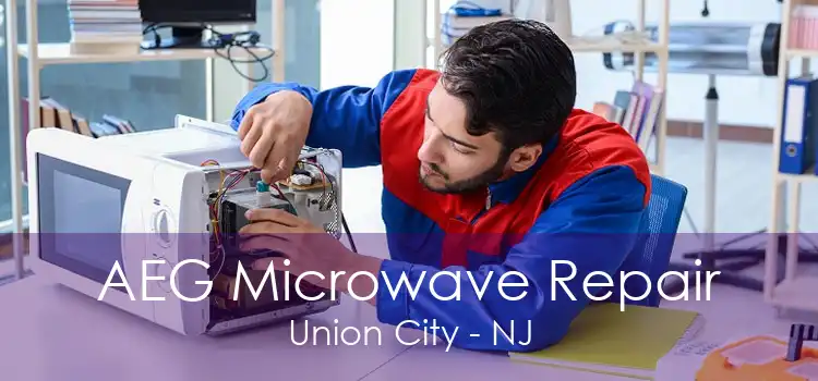 AEG Microwave Repair Union City - NJ