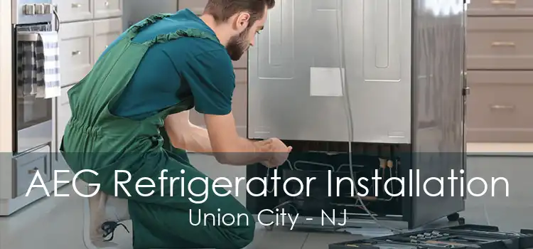 AEG Refrigerator Installation Union City - NJ