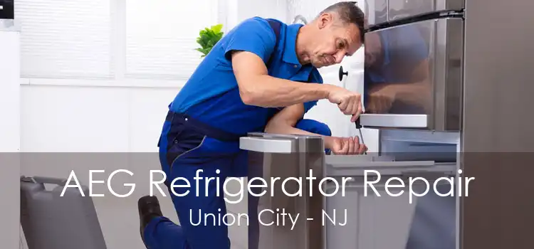 AEG Refrigerator Repair Union City - NJ