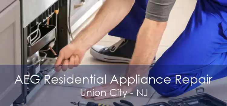 AEG Residential Appliance Repair Union City - NJ