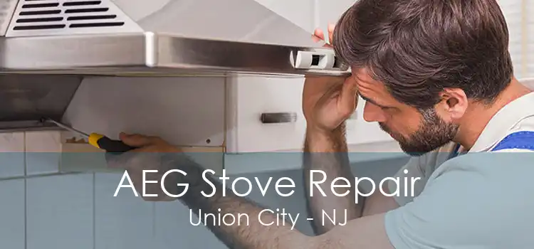 AEG Stove Repair Union City - NJ