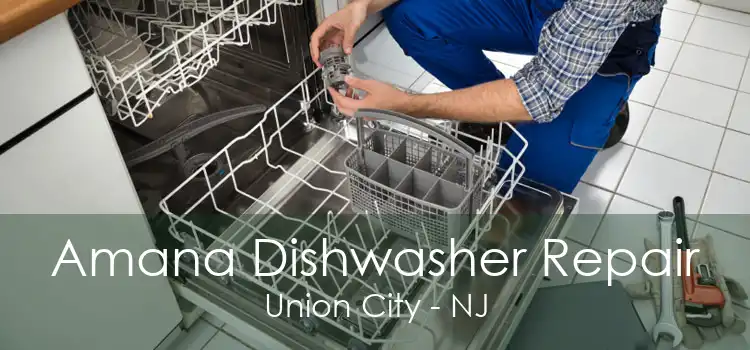 Amana Dishwasher Repair Union City - NJ