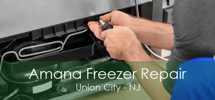 Amana Freezer Repair Union City - NJ