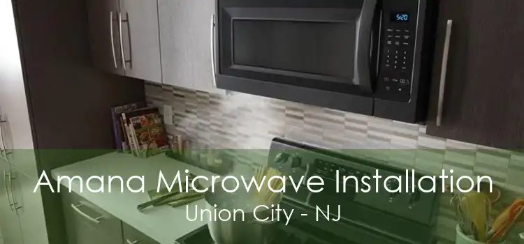 Amana Microwave Installation Union City - NJ