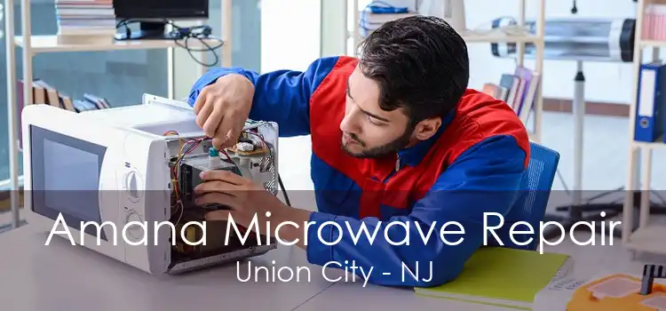 Amana Microwave Repair Union City - NJ