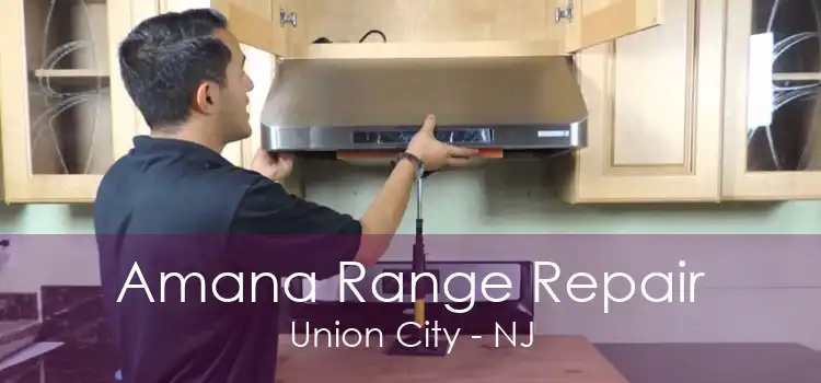 Amana Range Repair Union City - NJ