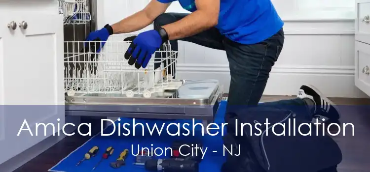 Amica Dishwasher Installation Union City - NJ