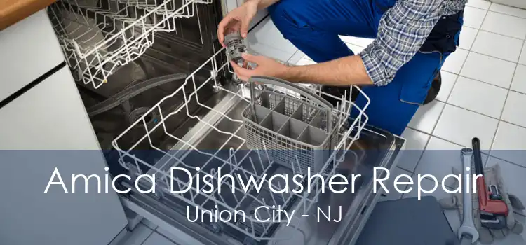 Amica Dishwasher Repair Union City - NJ