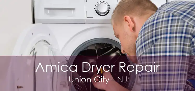 Amica Dryer Repair Union City - NJ