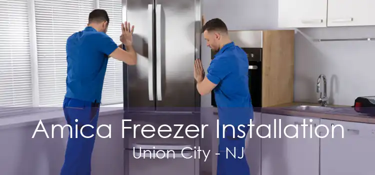 Amica Freezer Installation Union City - NJ