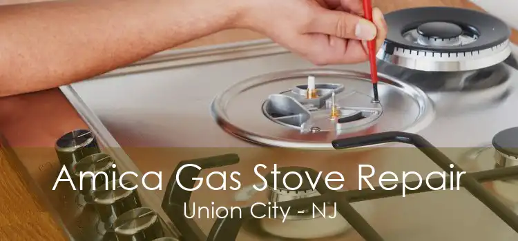 Amica Gas Stove Repair Union City - NJ