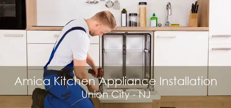 Amica Kitchen Appliance Installation Union City - NJ