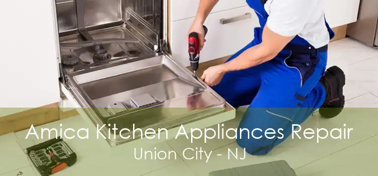 Amica Kitchen Appliances Repair Union City - NJ