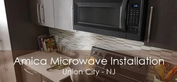 Amica Microwave Installation Union City - NJ