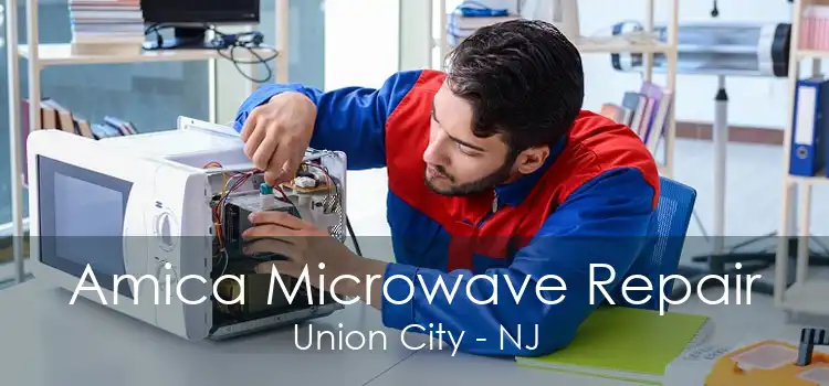 Amica Microwave Repair Union City - NJ