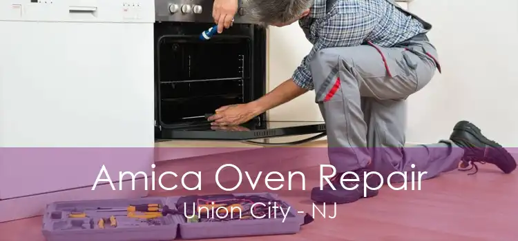 Amica Oven Repair Union City - NJ