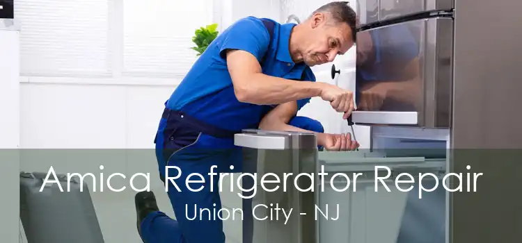 Amica Refrigerator Repair Union City - NJ