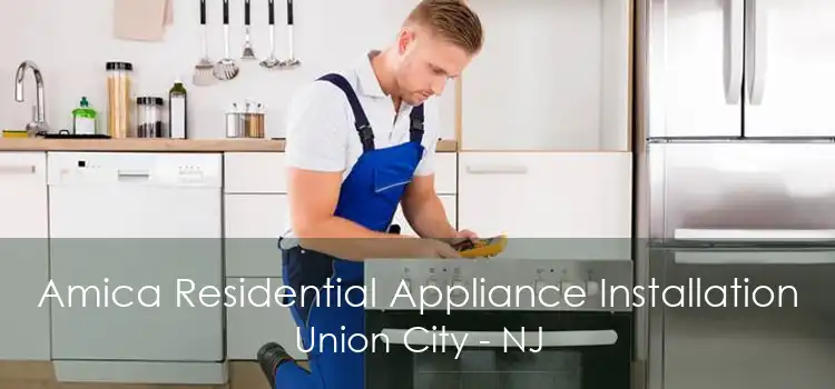 Amica Residential Appliance Installation Union City - NJ