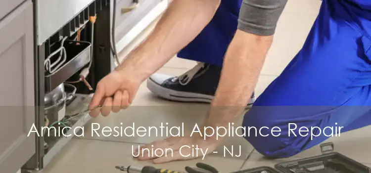 Amica Residential Appliance Repair Union City - NJ