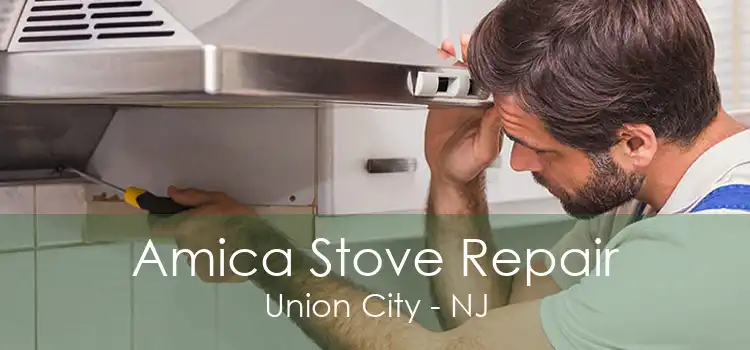 Amica Stove Repair Union City - NJ