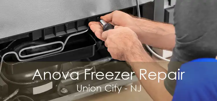 Anova Freezer Repair Union City - NJ