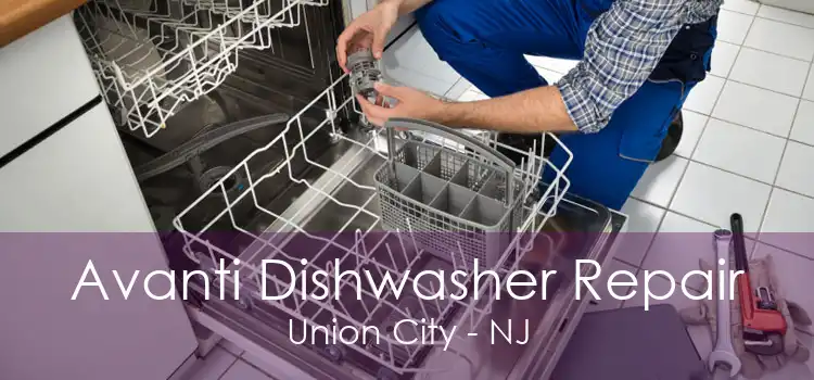 Avanti Dishwasher Repair Union City - NJ