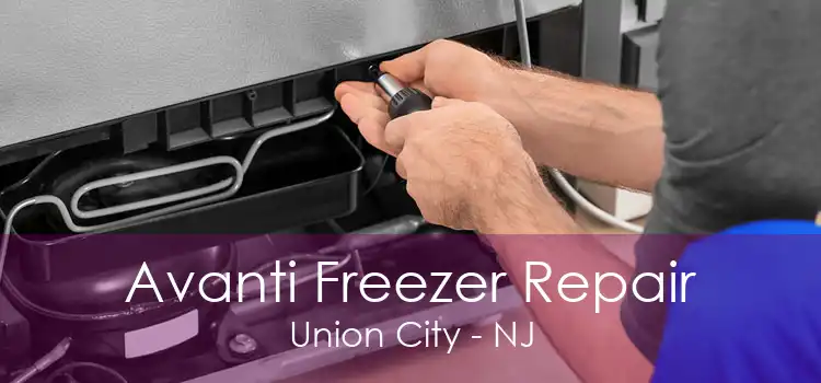 Avanti Freezer Repair Union City - NJ