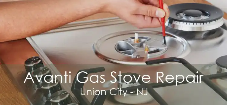 Avanti Gas Stove Repair Union City - NJ