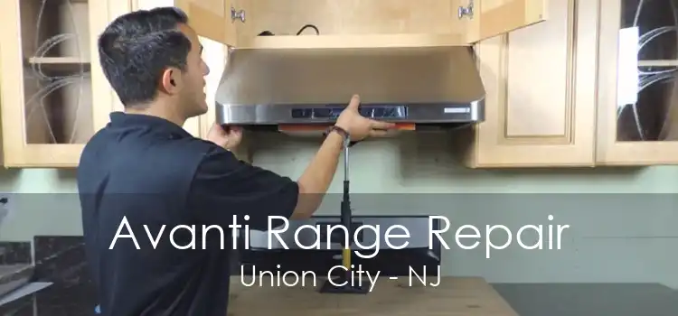 Avanti Range Repair Union City - NJ