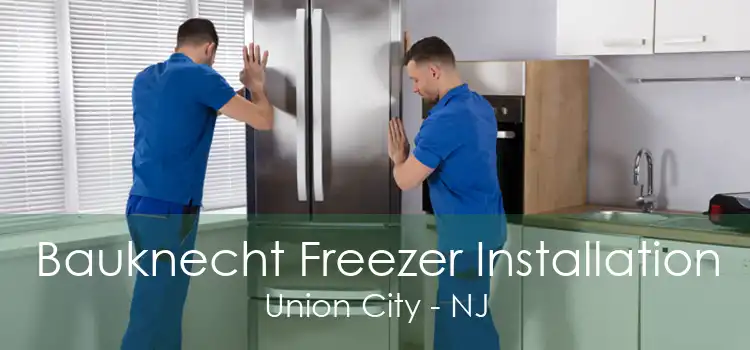 Bauknecht Freezer Installation Union City - NJ