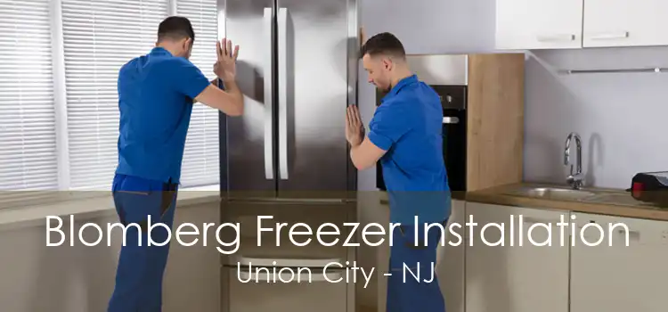 Blomberg Freezer Installation Union City - NJ