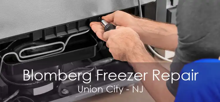 Blomberg Freezer Repair Union City - NJ