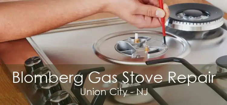 Blomberg Gas Stove Repair Union City - NJ