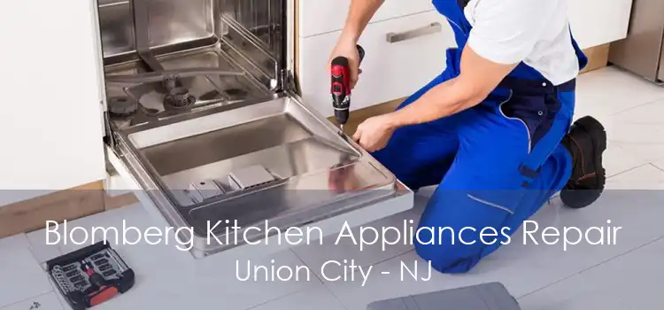 Blomberg Kitchen Appliances Repair Union City - NJ