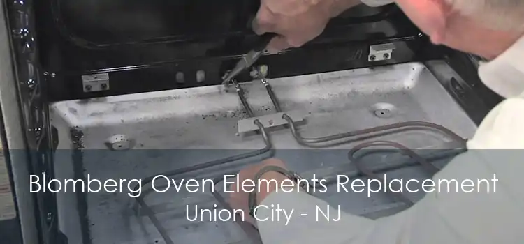 Blomberg Oven Elements Replacement Union City - NJ