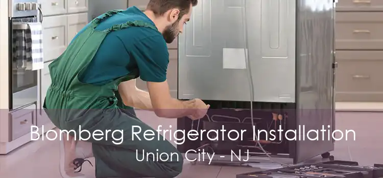 Blomberg Refrigerator Installation Union City - NJ