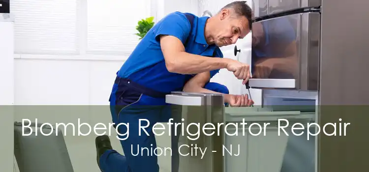 Blomberg Refrigerator Repair Union City - NJ