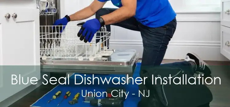 Blue Seal Dishwasher Installation Union City - NJ