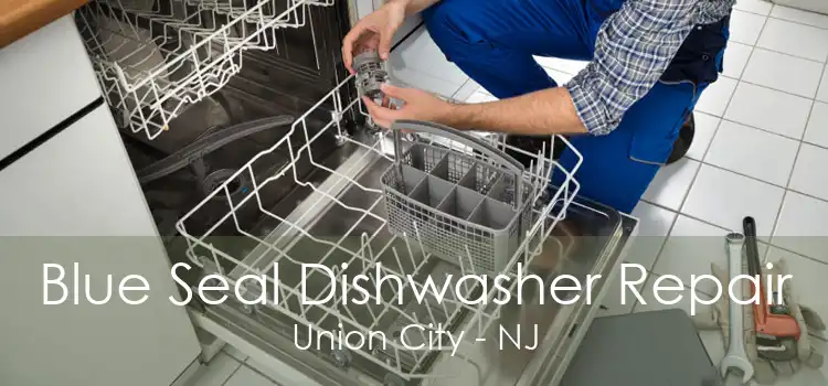 Blue Seal Dishwasher Repair Union City - NJ