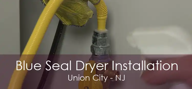 Blue Seal Dryer Installation Union City - NJ