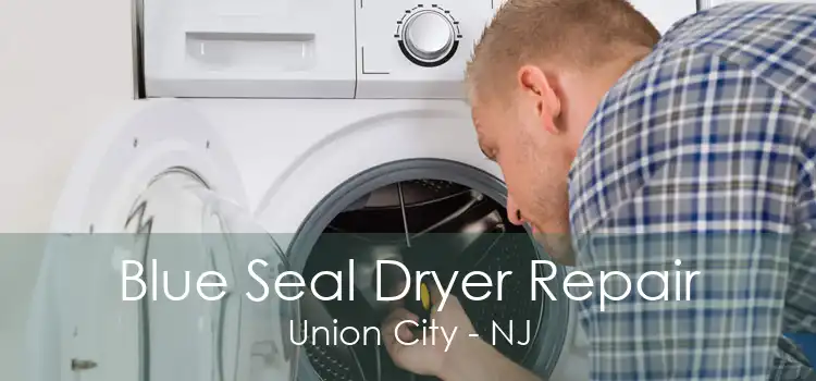 Blue Seal Dryer Repair Union City - NJ